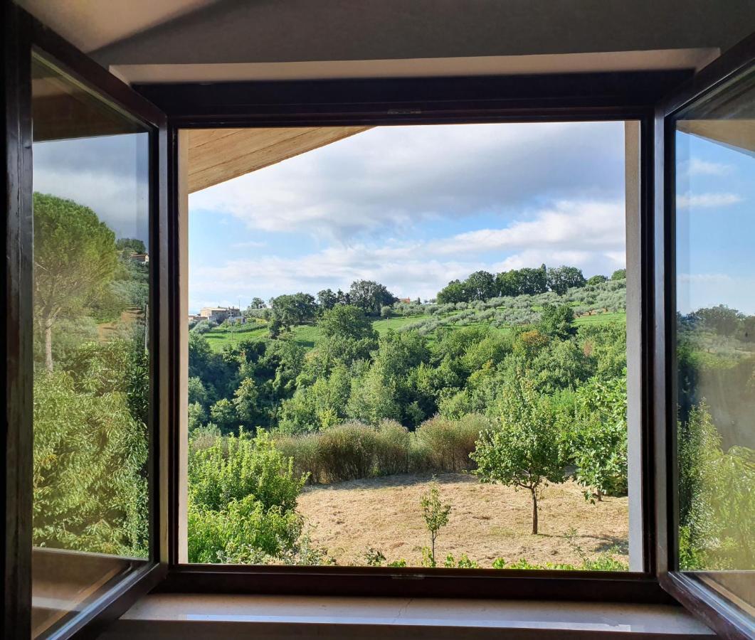 奇维泰拉卡萨诺瓦Casa Ciuffina住宿加早餐旅馆 外观 照片