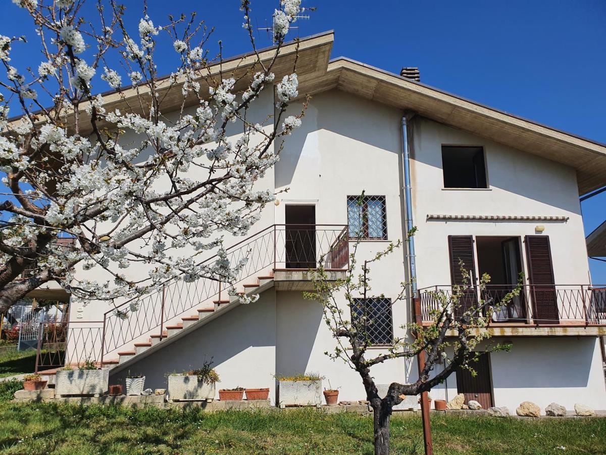 奇维泰拉卡萨诺瓦Casa Ciuffina住宿加早餐旅馆 外观 照片